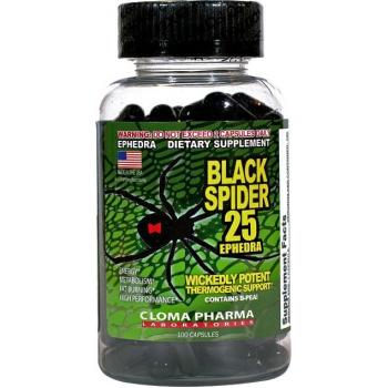 BLACK SPIDER