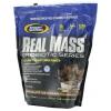 Real Mass Probiotic Series