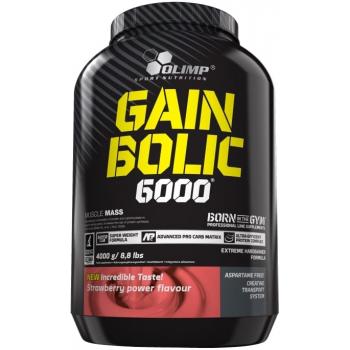 Gain Bolic 6000